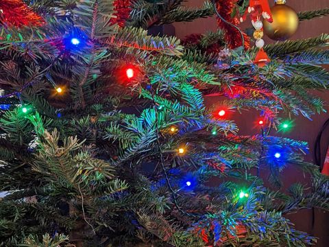 Image représentant une guirlande électrique