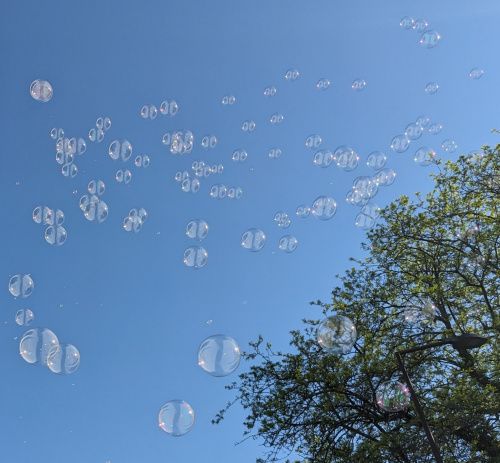 Nuage de bulles flottant dans un ciel bleu au-dessus d’un arbre