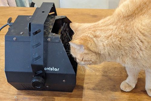 Un chat roux inspecte la machine à bulles en passant la tête dans l’ouverture