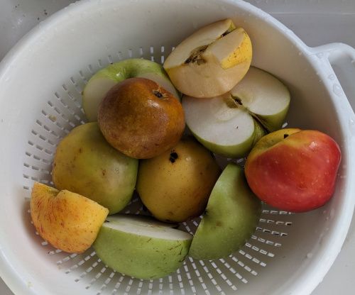 7 pommes de différentes variétés, prêtes à être transformées en jus