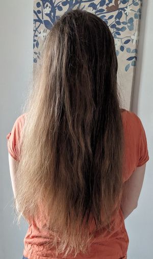Les cheveux longs avant le séchage